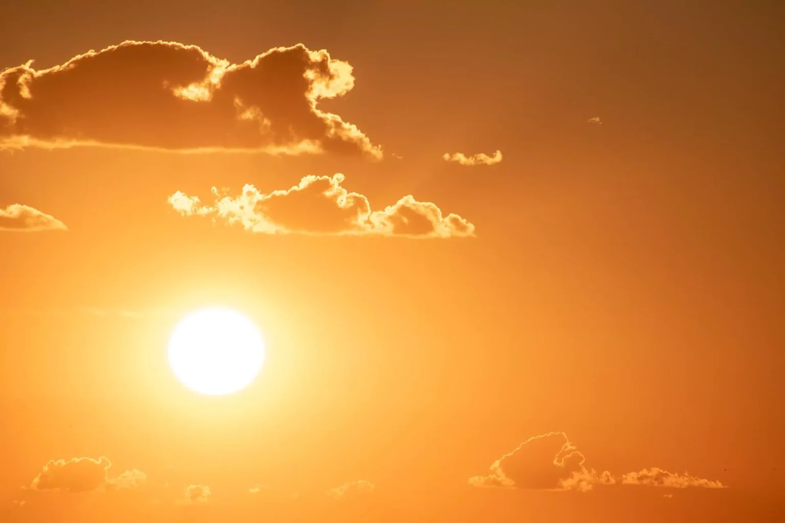 Canicule : 14 départements en alerte, jusqu’à 40°C attendus ce samedi en France