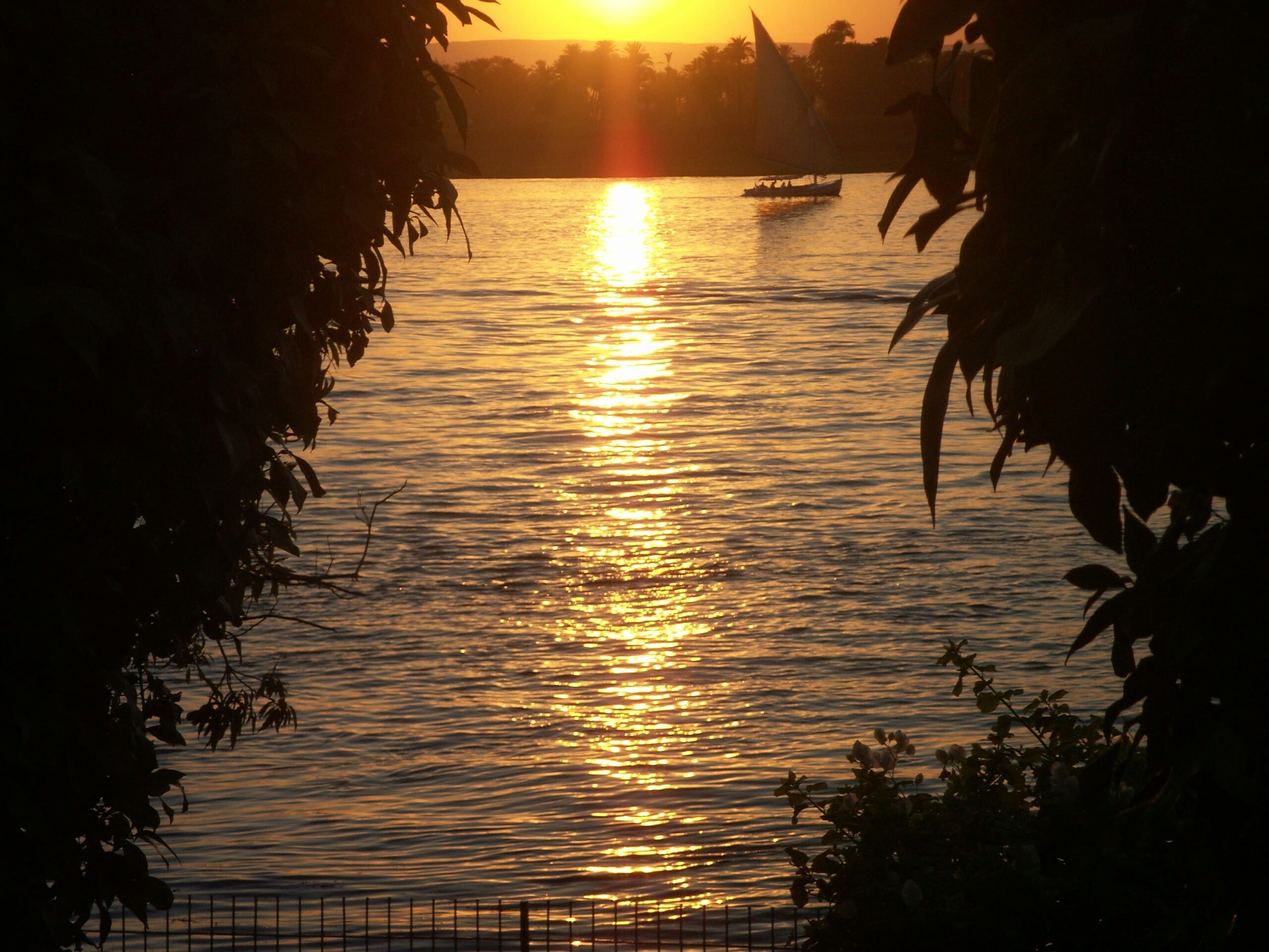 Konica Minolta Digital Camera