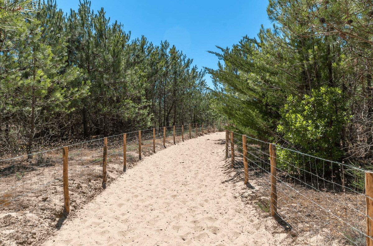 L’essor Du Tourisme