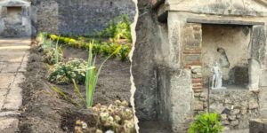 À Pompéi, un jardin antique replanté comme il y a 2 000 ans