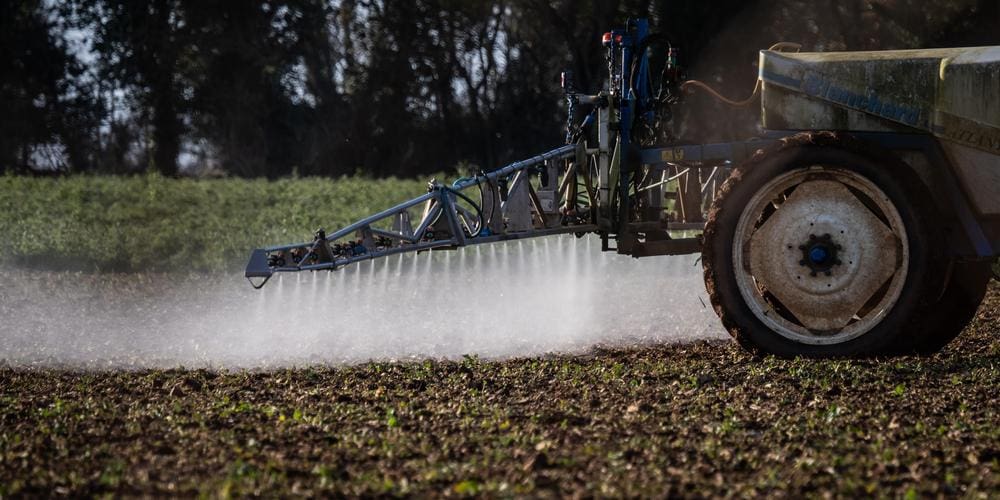 Acétamipride : le poison discret qui fracture l’agriculture française