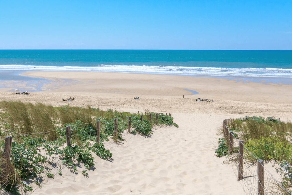 DOSSIER SPÉCIAL ÉTÉ - L'histoire des plages de France. Épisode 2 : Cap Ferret, le Saint-Tropez de l’Atlantique