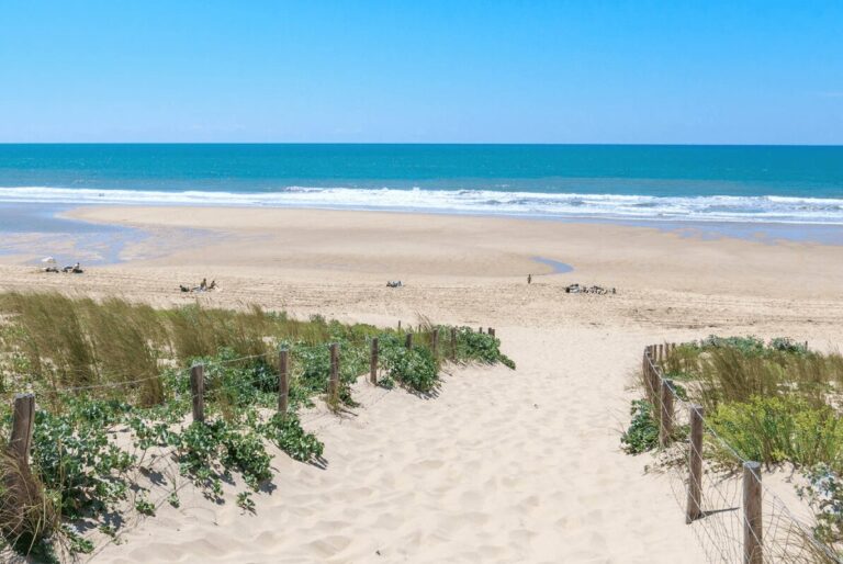 DOSSIER SPÉCIAL ÉTÉ - L'histoire des plages de France. Épisode 2 : Cap Ferret, le Saint-Tropez de l’Atlantique