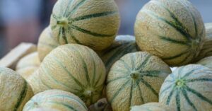 Carrefour rappelle des melons de Provence contaminés par un pesticide interdit — photo