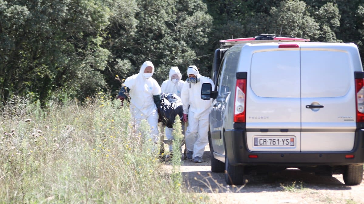 Corps calciné dans le Gard : un meurtre filmé sur fond de guerre entre trafiquants