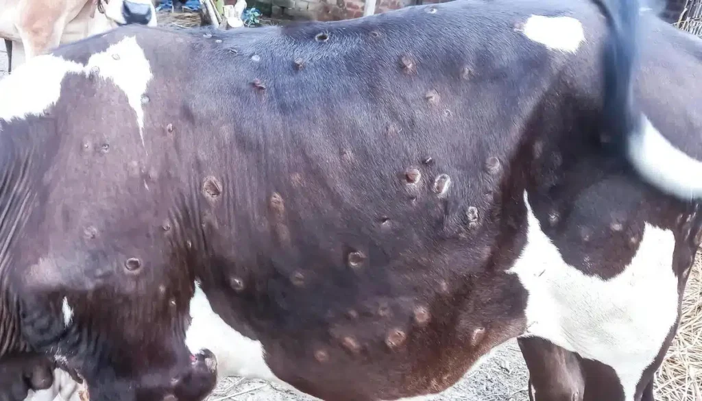 Dans le Sud-Est, le mouvement a pris une ampleur comparable