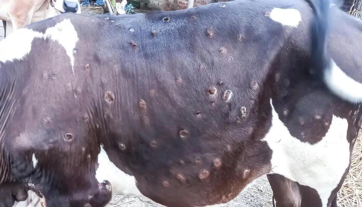 Dans le Sud-Est, le mouvement a pris une ampleur comparable