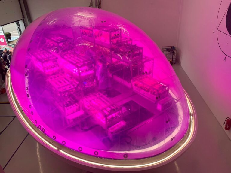 Des plantes qui poussent dans l’espace : le pari fou d’Interstellar Lab devient réalité