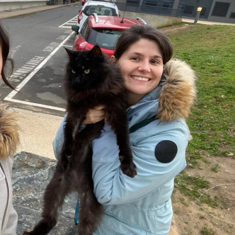 Disparu depuis quatre ans, un chat belge retrouve ses maîtres au Crotoy — photo