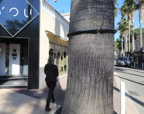 Drame au You à Juan-les-Pins : la police lance un appel à témoins après une jeune fille brûlée vive