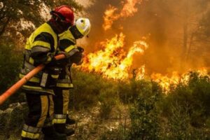 Feux de forêt : l’arme très efficace des pompiers depuis 40 ans