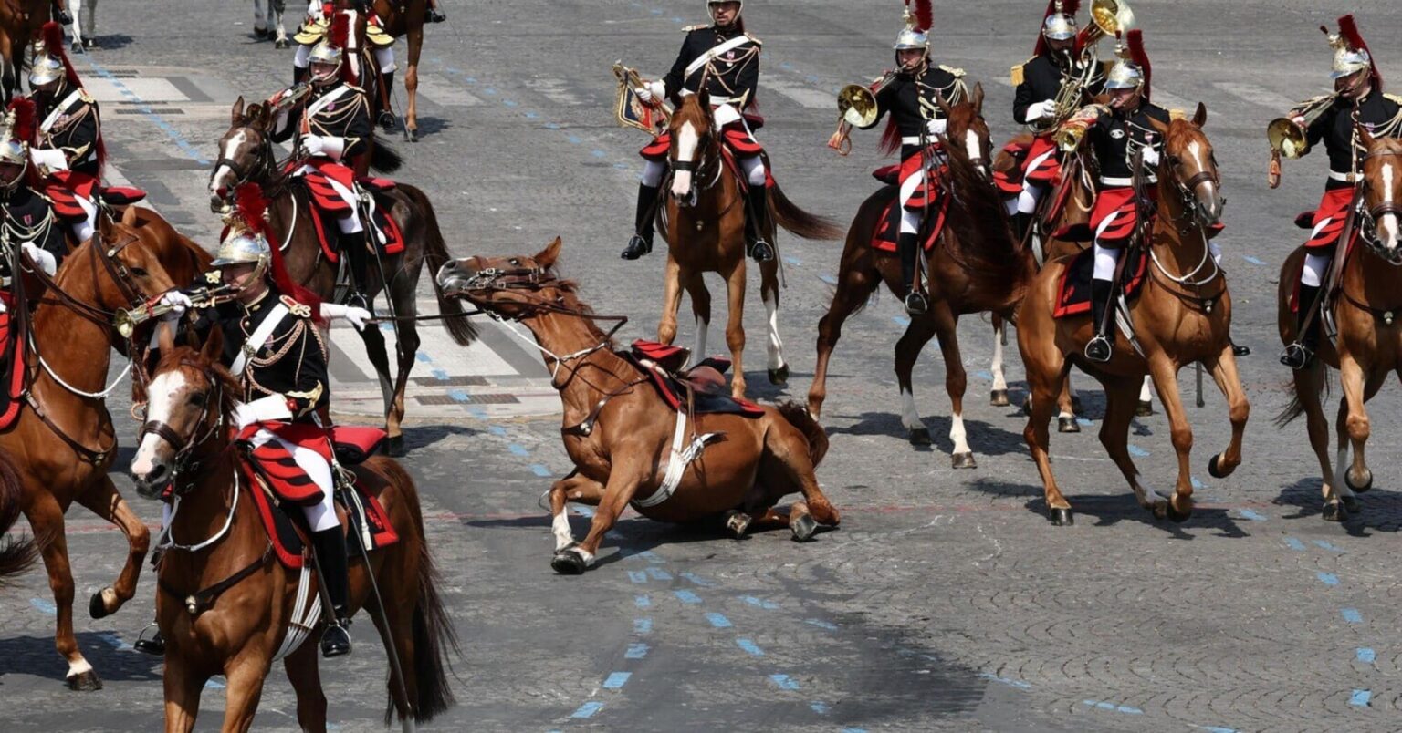 Chute d’un cheval au défilé du 14 juillet