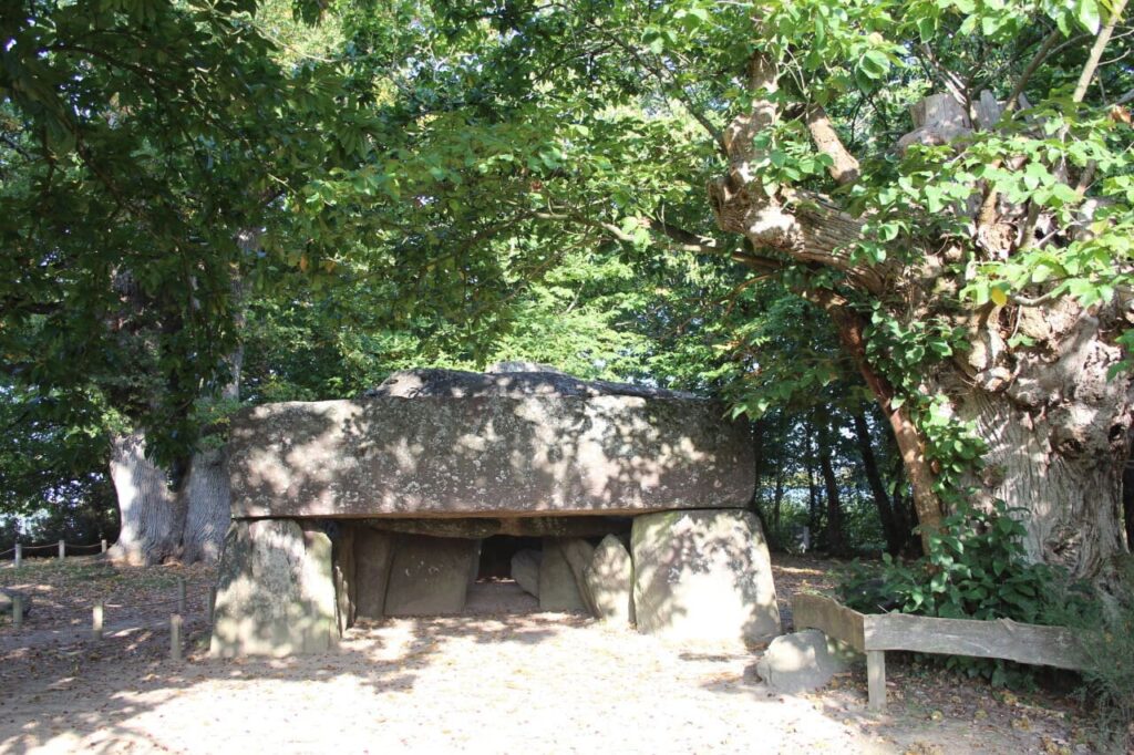 Ille-et-Vilaine : mobilisation en vue contre l’aménagement du site mégalithique de la Roche-aux-Fées