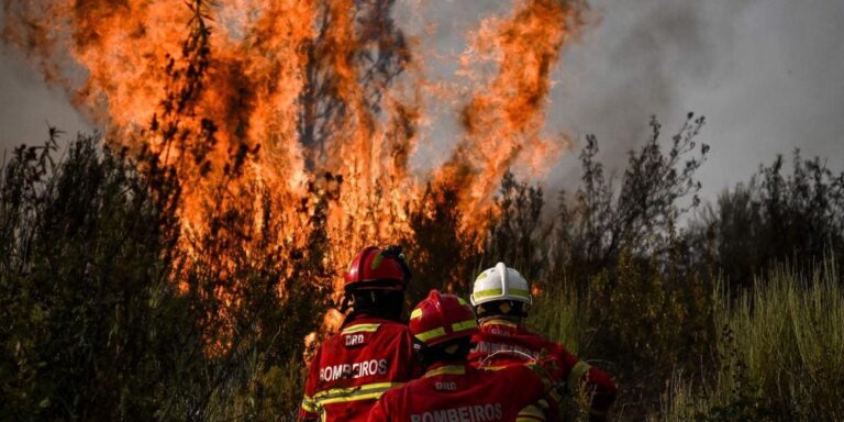 Incendies au Portugal : plus de 1 300 pompiers mobilisés face à une vague de chaleur dévastatrice