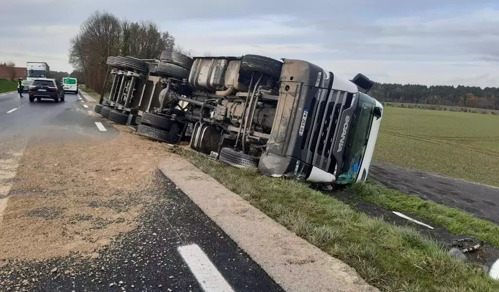 Loire-Atlantique : pluie de bananes et ruée en pleine nature après un accident de camion