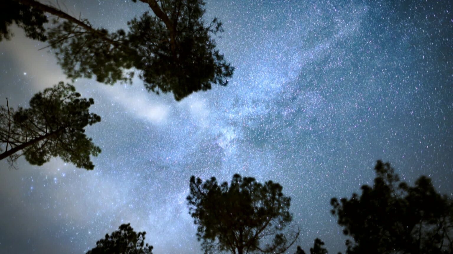 Luë vise les étoiles avec un concours d'Air Guitar spatial en pleine forêt landaise