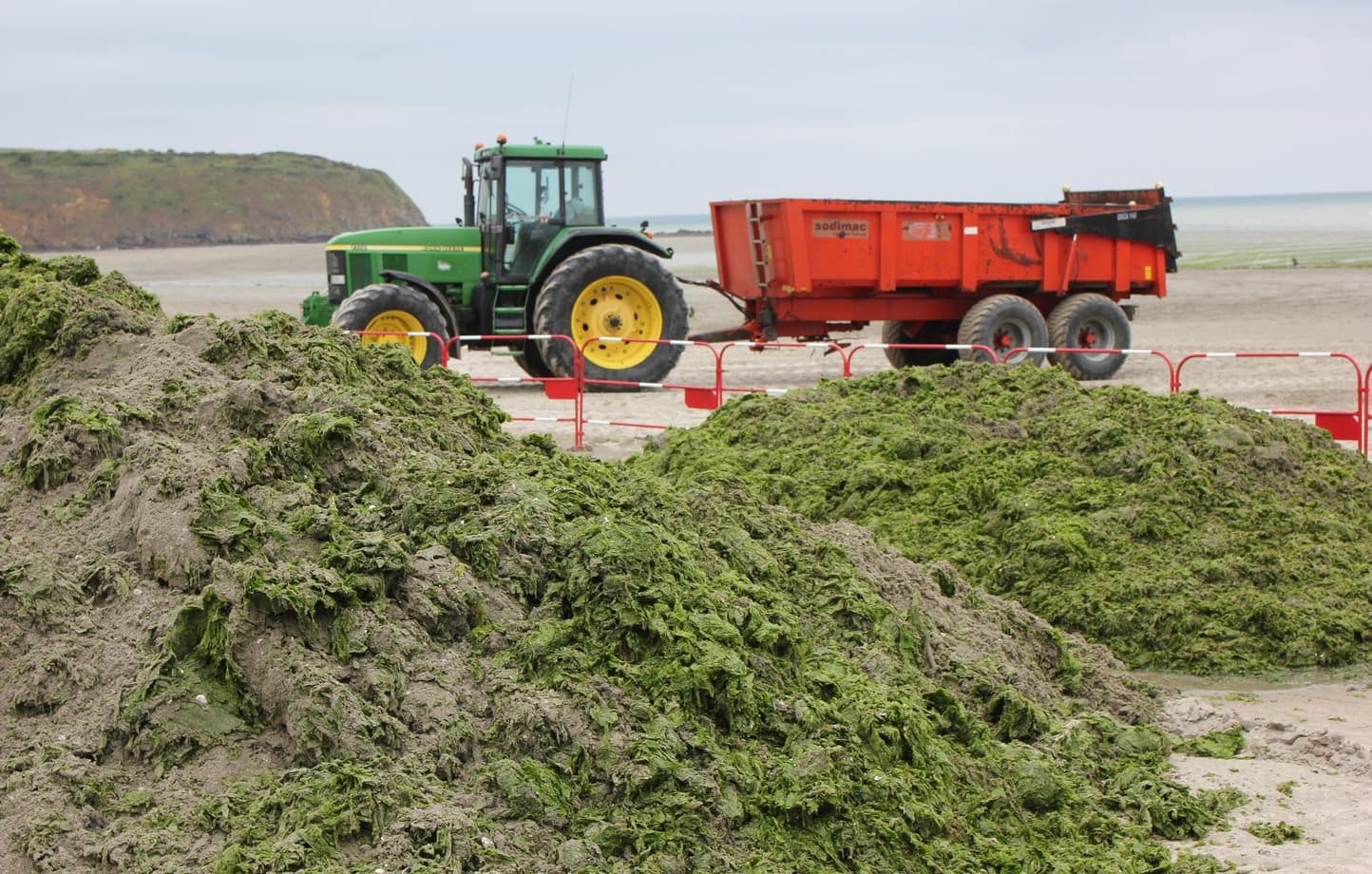 Pollution massive dans la baie de Paimpol : l'État accusé d'inaction