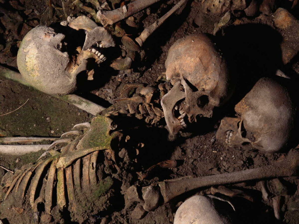 Pologne : un squelette de chevalier du Moyen Âge découvert sous une ancienne boutique de glaces