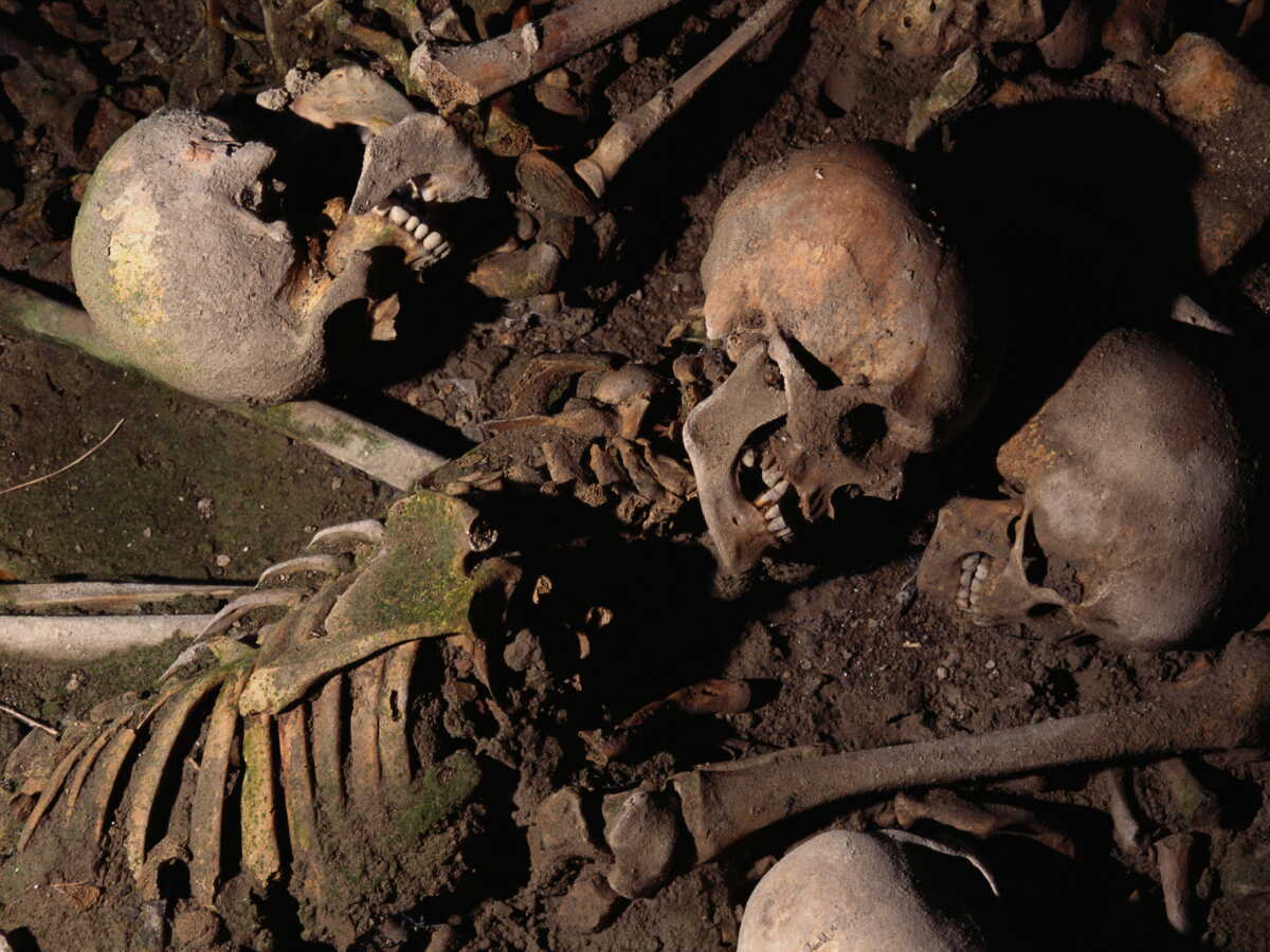 Pologne : un squelette de chevalier du Moyen Âge découvert sous une ancienne boutique de glaces