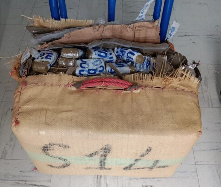 Saisie spectaculaire de cannabis sur l’A9 : plus de 80 kg dissimulés dans des voitures neuves — photo