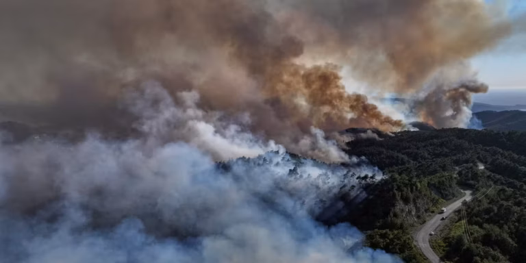 Syrie : les incendies dévastateurs de Lattaquié enfin maîtrisés après dix jours de lutte acharnée