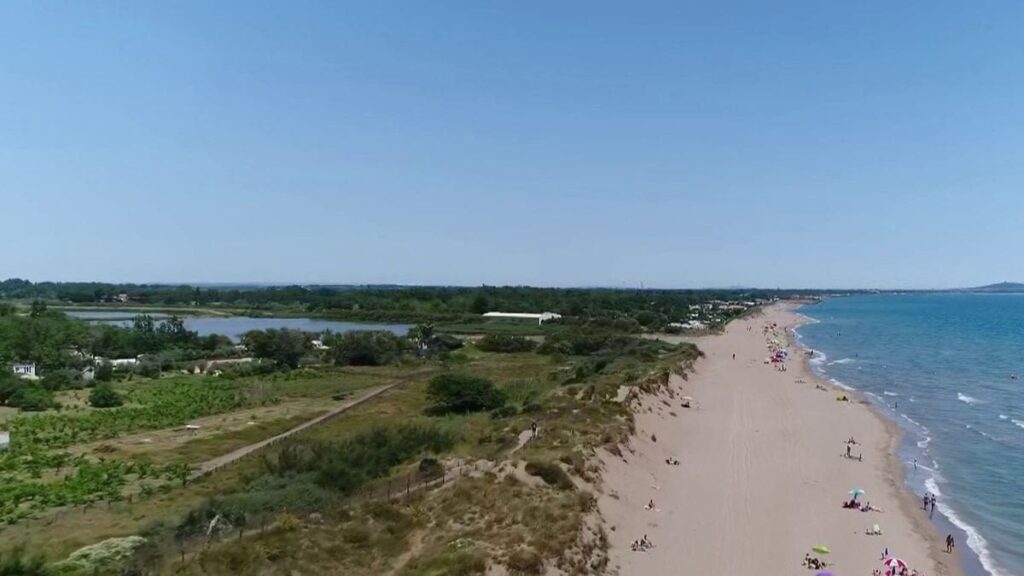 Tsunami dans le Pacifique : la France métropolitaine loin d’être à l’abri