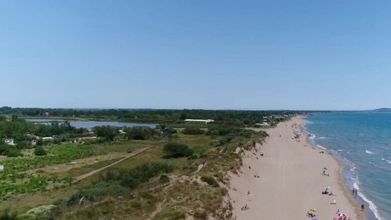 Tsunami dans le Pacifique : la France métropolitaine loin d’être à l’abri