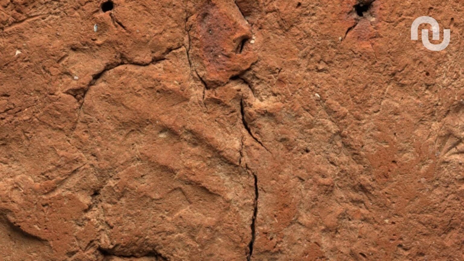 Une empreinte humaine vieille de 4 000 ans découverte au musée de Cambridge