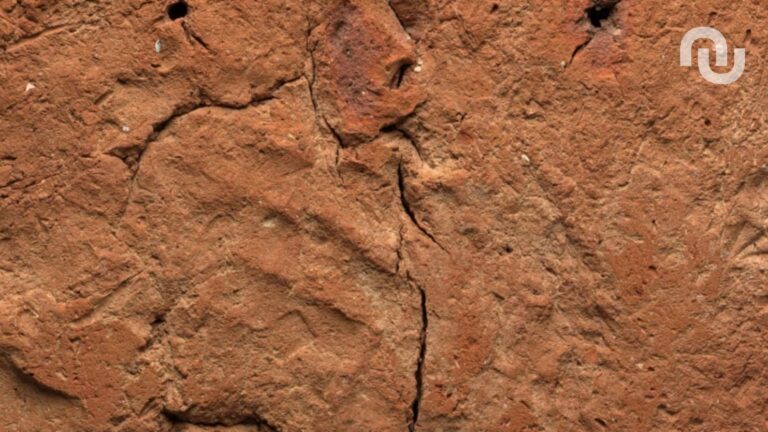 Une empreinte humaine vieille de 4 000 ans découverte au musée de Cambridge