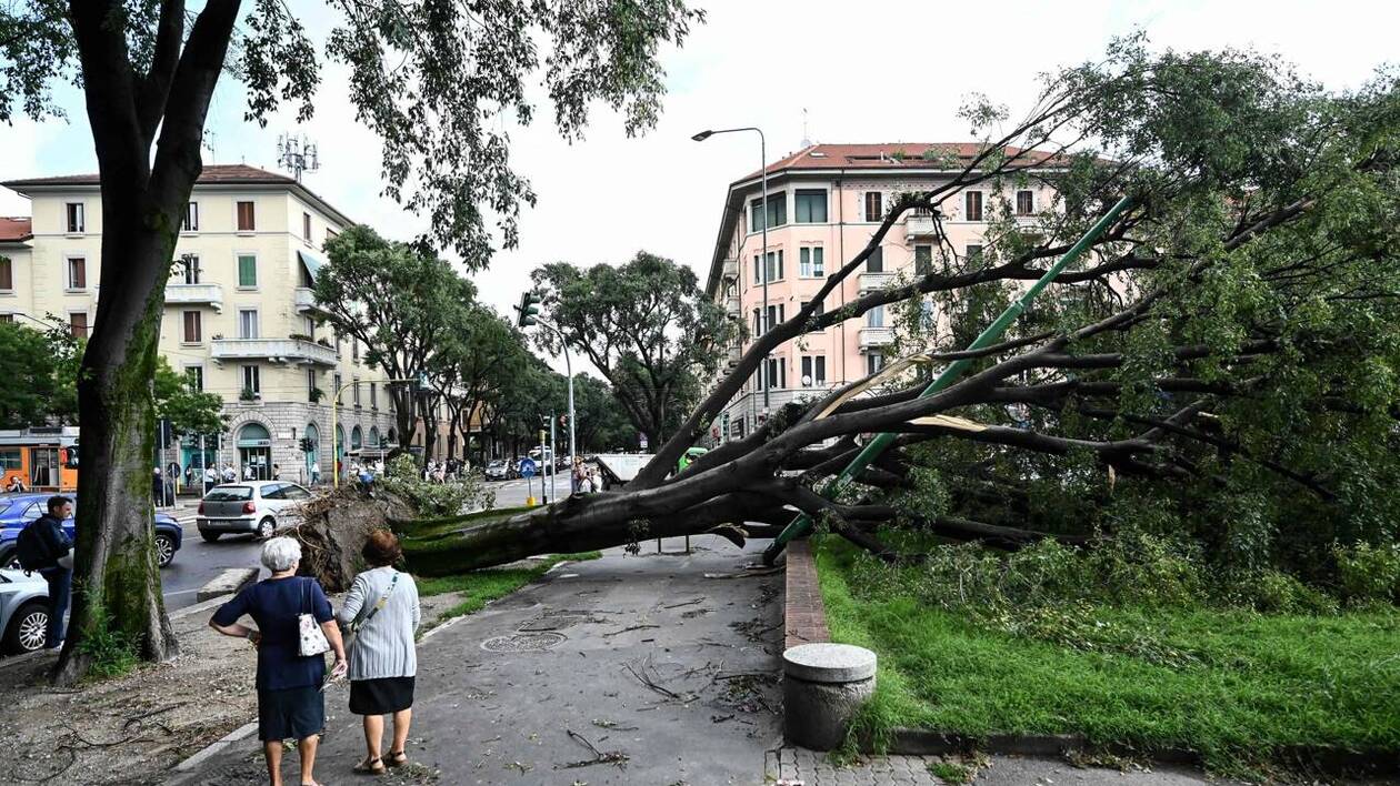Une femme tuée par la chute d’un arbre lors d’une violente tempête près de Milan