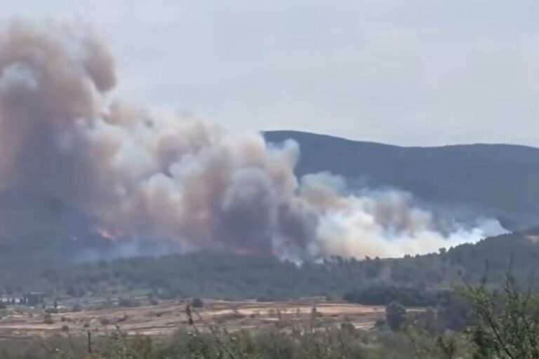 Incendies dans l’Aude : 500 hectares ravagés, le feu est maîtrisé mais la vigilance reste maximale