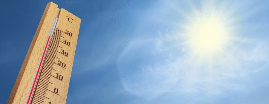 Canicule meurtrière en Europe : au moins 8 morts alors que les températures battent des records