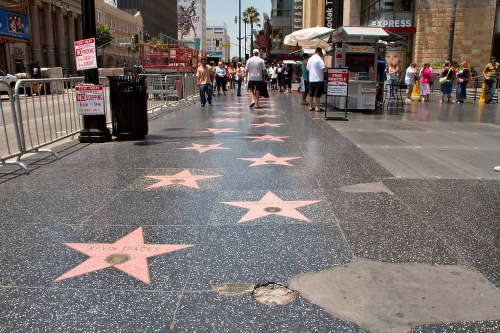 Marion Cotillard, Timothée Chalamet et Angélique Kidjo auront leur étoile sur le Hollywood Walk of Fame
