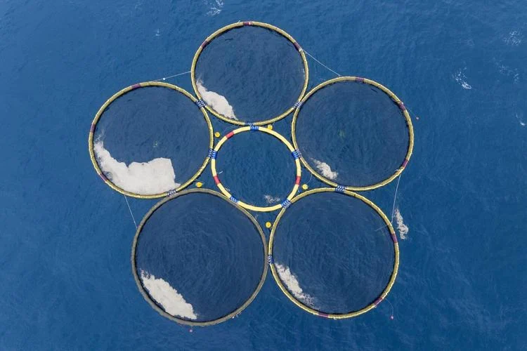 Une start-up israélienne promet de sauver la planète en capturant le carbone dans l’océan, mais les scientifiques restent sceptiques