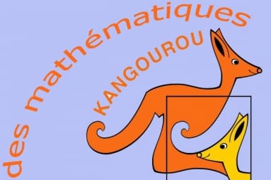 À Melun, un collégien se hisse au sommet du concours Kangourou : « Les maths, c’est comme un jeu »