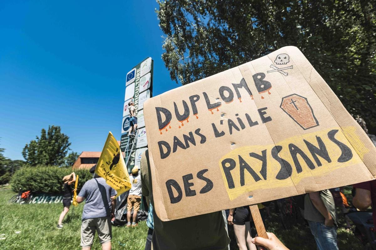 Loi Duplomb : la pétition explose tous les records avec plus de 2 millions de signatures