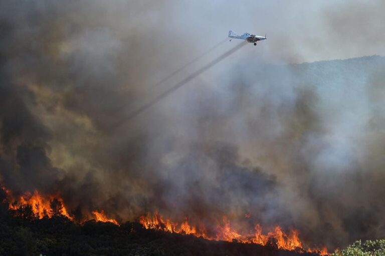 Soupçonné de cinq départs de feu dans le Var, un homme en garde à vue — photo