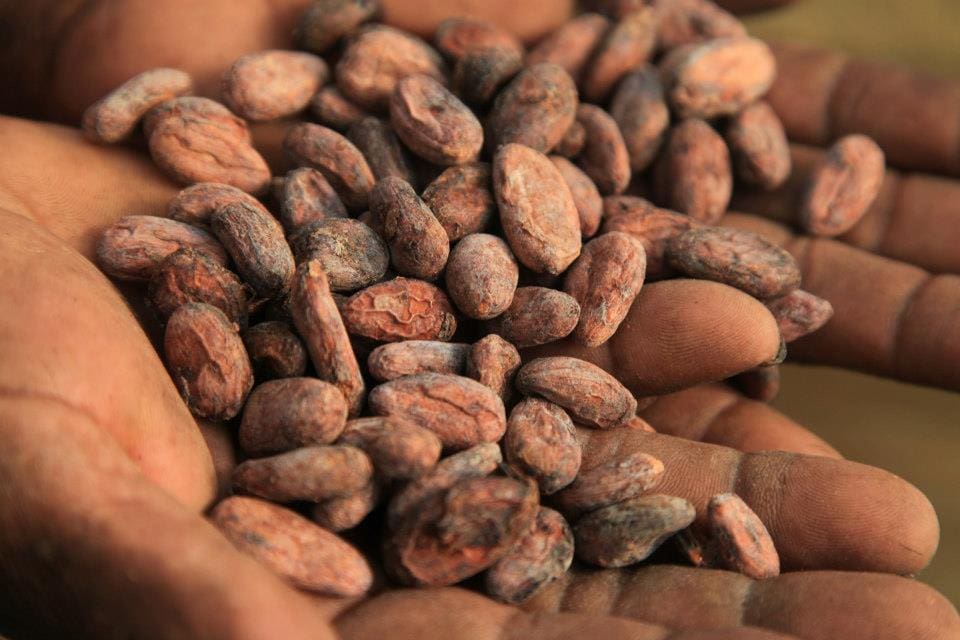 543880_10151429303618223_2081809616_N