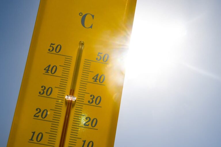 Canicule record : jusqu’à 42°C attendus dans le sud-ouest ce samedi