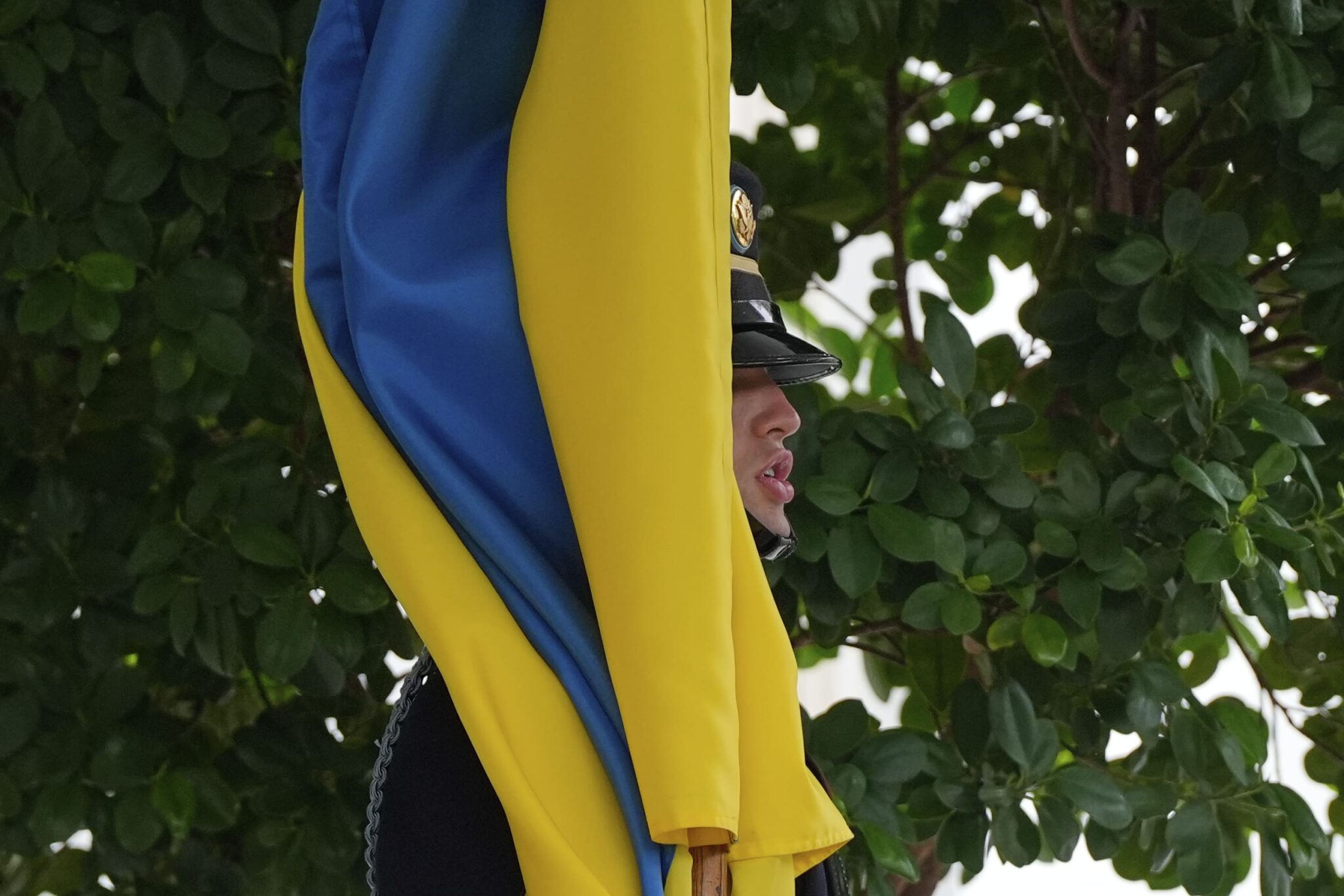 Reportage Photo – L’accueil Solennel De Volodymyr Zelensky Par Donald Trump À La Maison-Blanche Ap Photo/Julia Demaree Nikhinson