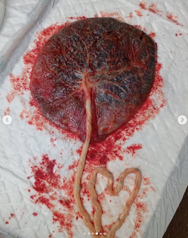 Une Déclaration D’amour Familiale