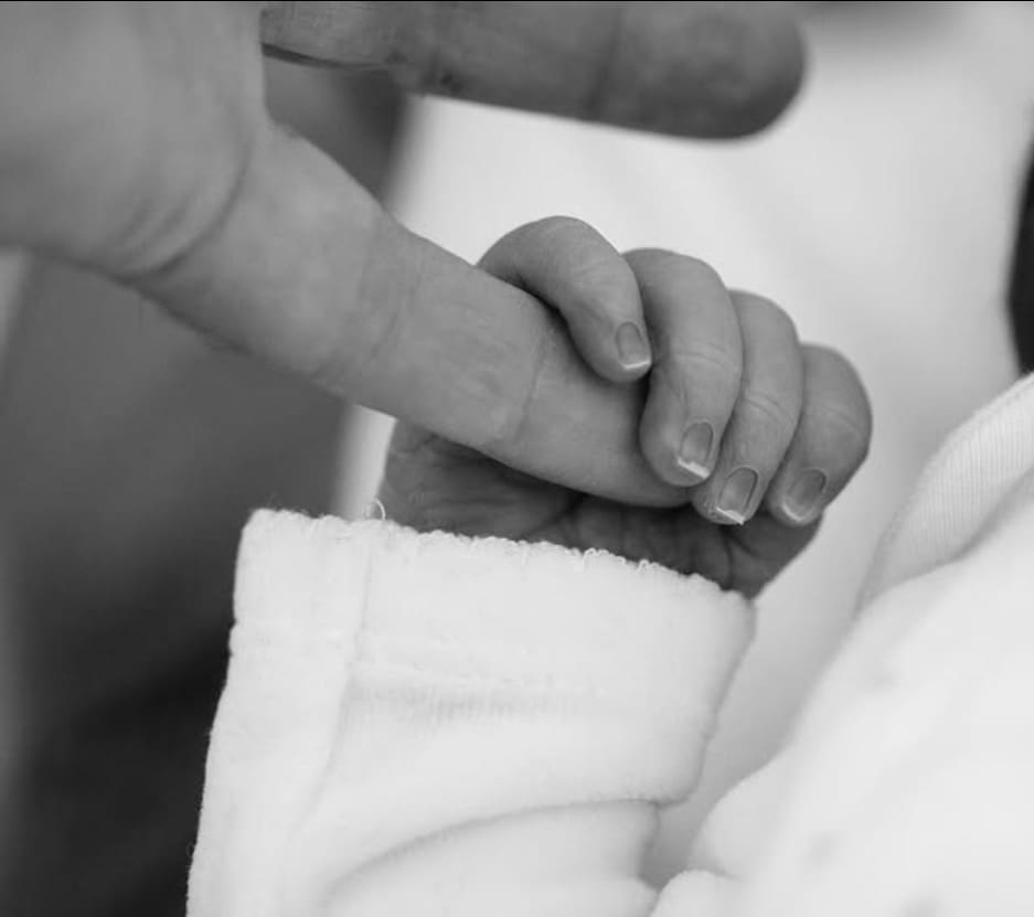 Les Réseaux Sociaux S'Emballent Pour La Naissance De Noé Semoun