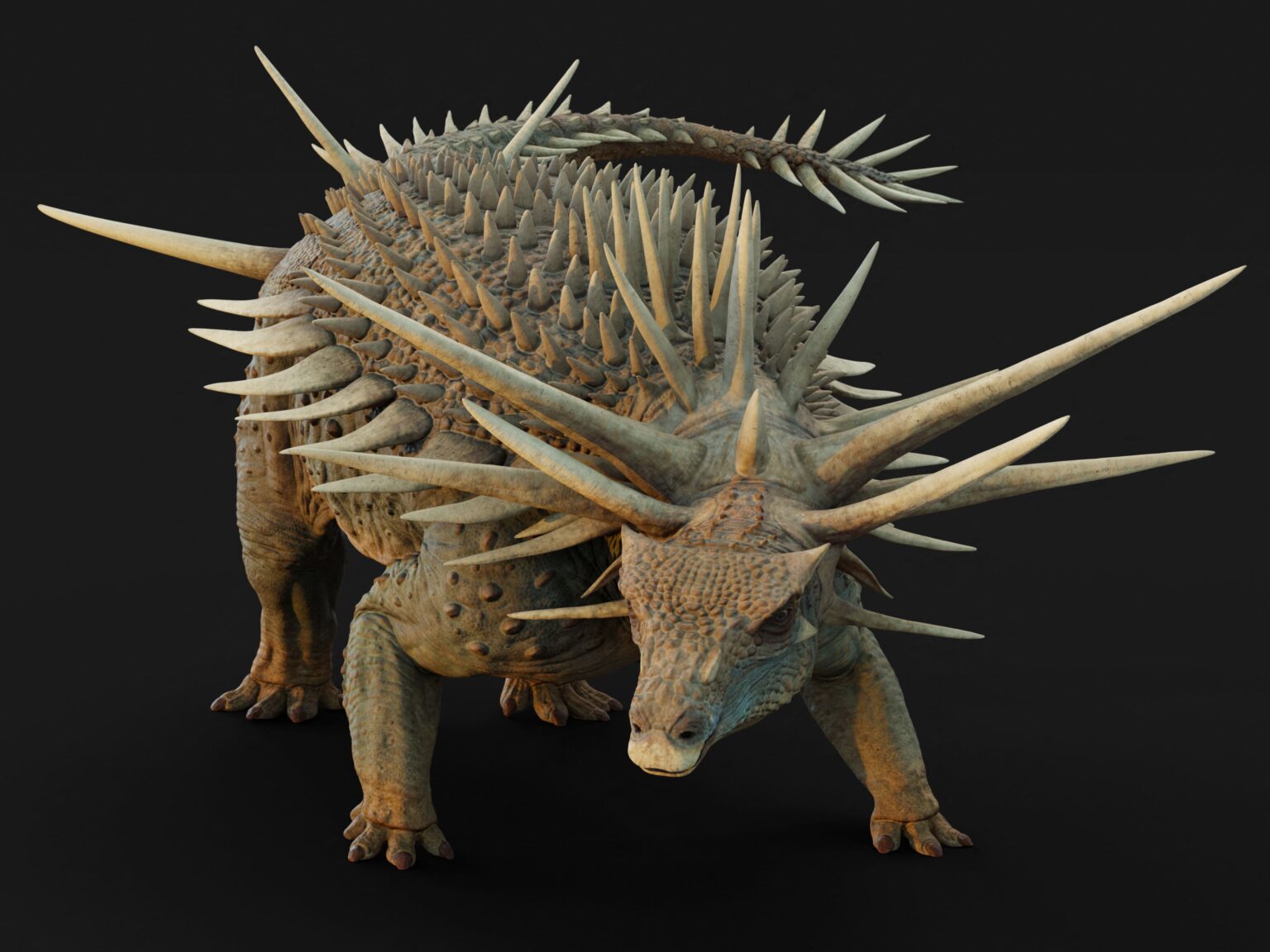 Maroc : découverte spectaculaire du plus ancien dinosaure "blindé" aux pointes impressionnantes. (DR)