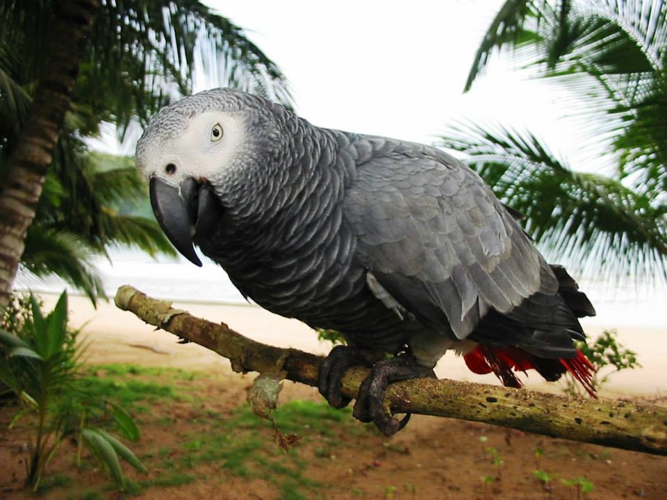 933888_10151672426463223_282621405_N