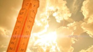 Onze départements en alerte face à la canicule