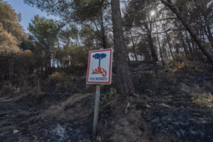 Aude : l’incendie d’une ampleur historique est peut-être d’origine criminelle