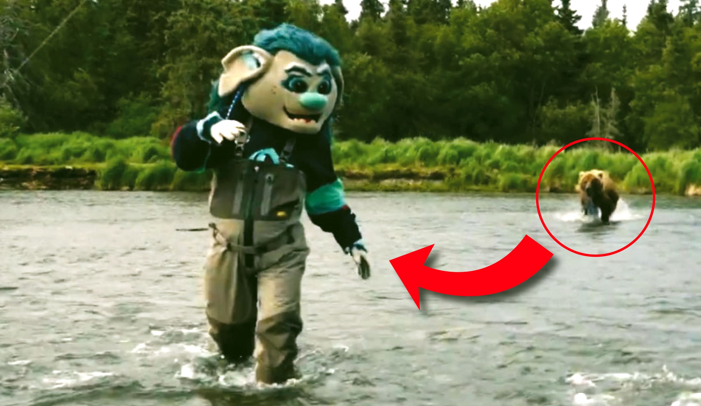 VIDÉO INSOLITE - Un grizzli charge la mascotte du club de hockey de Seattle en plein tournage