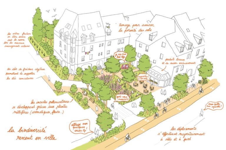 Caen cherche à faire respirer ses quartiers pour lutter contre les îlots de chaleur