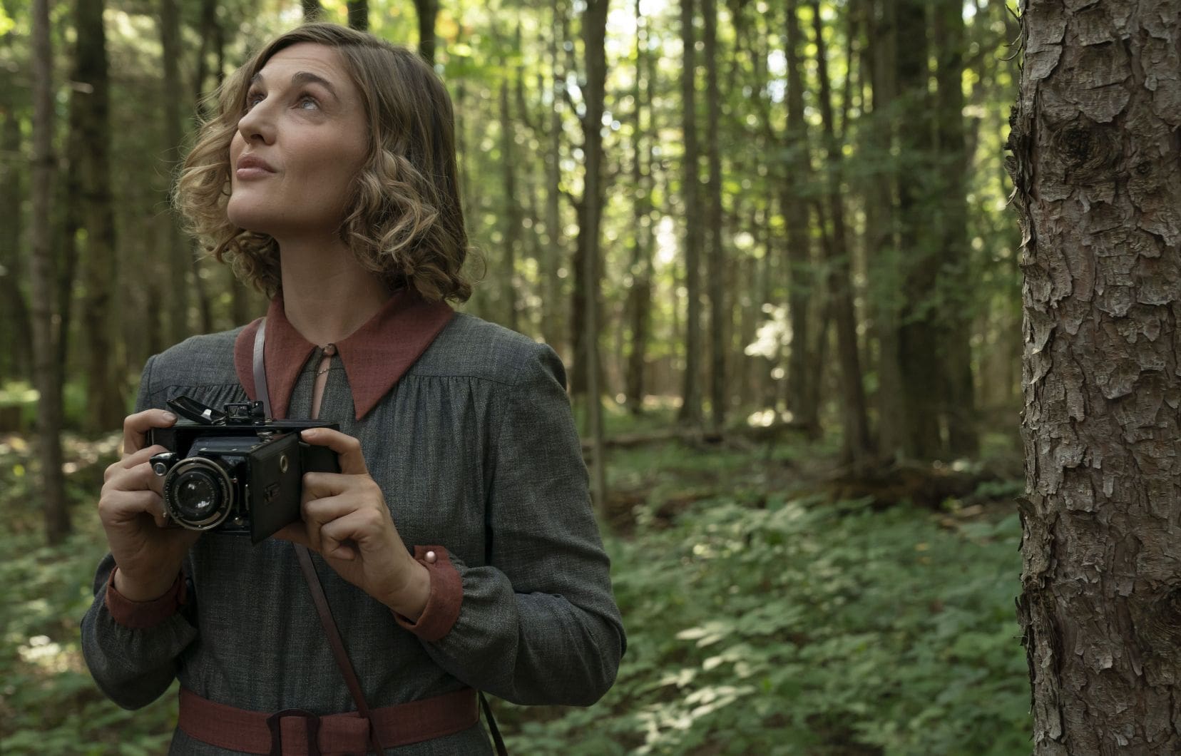 « Dis-moi pourquoi ces choses sont si belles » : quand désir et botanique s’entrelacent sur les rives du Saint-Laurent