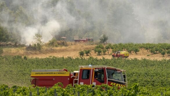Fonds d’urgence dans l’Aude : les agriculteurs sinistrés invités à déposer leurs dossiers dès septembre